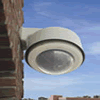 Dome Cameras